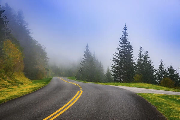 Roadway, Blue Ridge Parkway, Smoky Mountains, USA