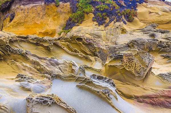 Rocky Formations at Bean Hollow Beach, California, USA