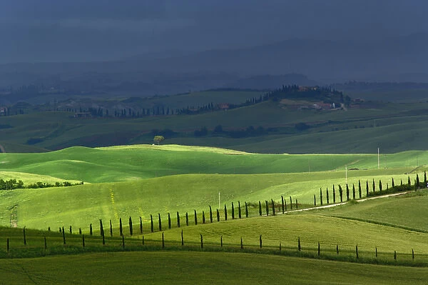 Rolling agricultural farm fields and dappled sunlight, Tuscany, Italy