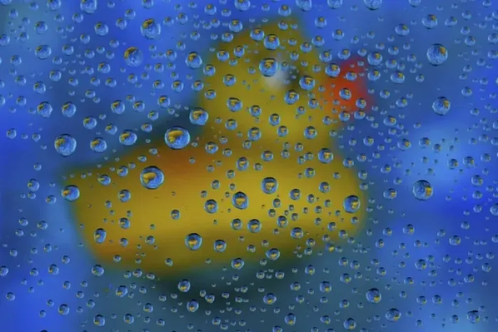 Framed Print : Rubber Duck Print with Dew Drops
