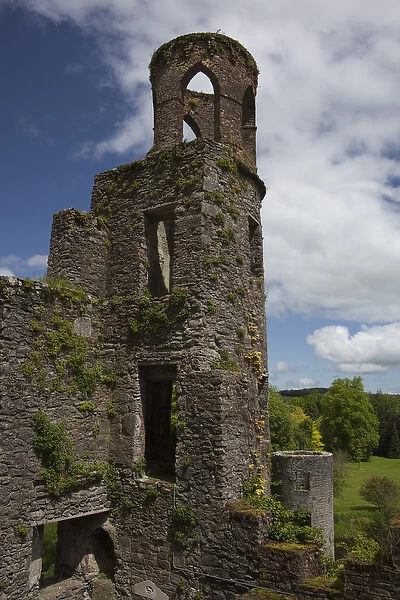 Ruins of the Blarney Castle qith a blue sky and white puffy clouds
