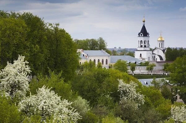Russia, Vladimir Oblast, Golden Ring, Vladimir, Cathedral of Saint Dmitry