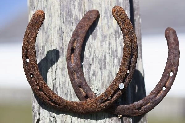 Two rusty horseshoes. Point Reyes National Seashore, California