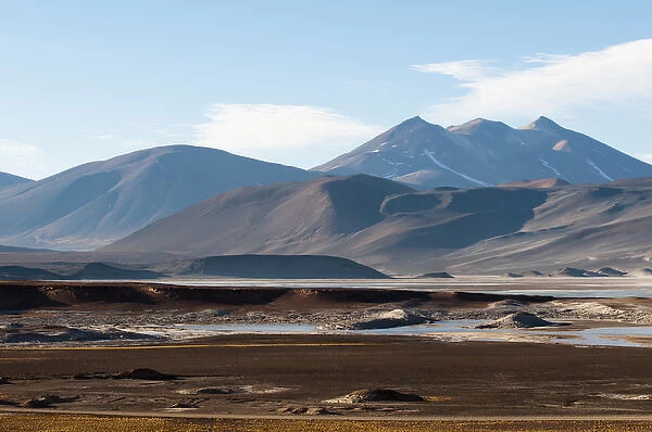 Salar de Talar, Atacama Desert, Chile