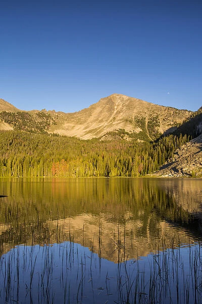 Sawtooth Mountain reflects into calm Sawtooth Lake in the Pioneers Mountains, Beaverhead-Deer