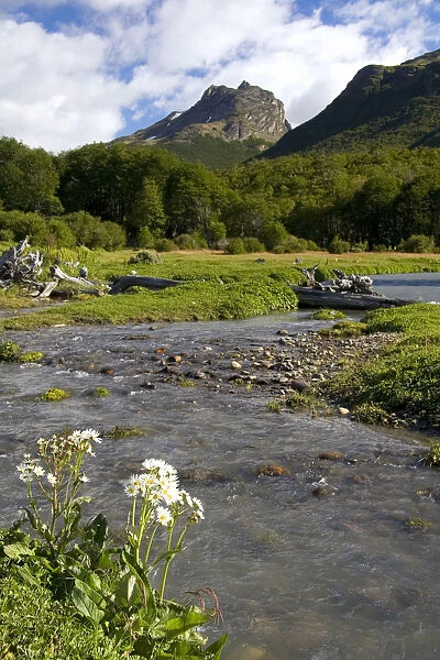 Scenic nature in the Tierra del Fuego National Park, Argentina