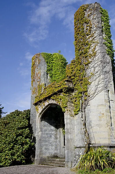 Scotland, Inner Hebrides, Isle of Skye, Armadale Castle & Gardens, ivy covered ruins