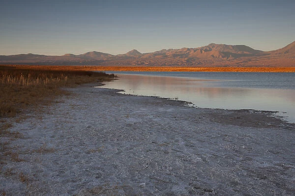 A short drive from San Pedro de Atacama is the Cejar Salt Lake with the Cordillerta
