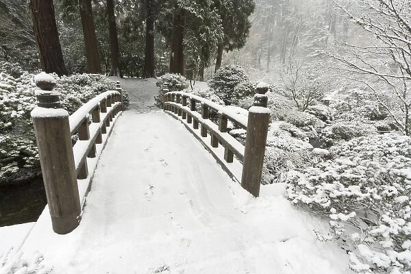 Snow-covered moon bridge, Portland Japanese Garden, Oregon