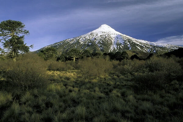 South America, Chile, La Araucania, Villarrica National Park. Lanin Volcano
