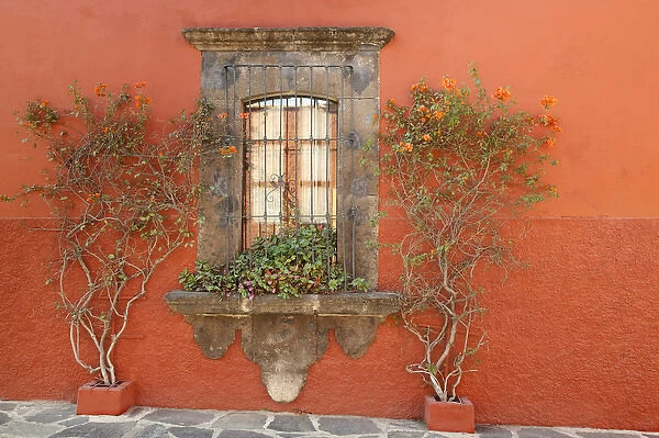 South America, Mexico, San Miguel de Allende. Scenic of window and plants. Credit as