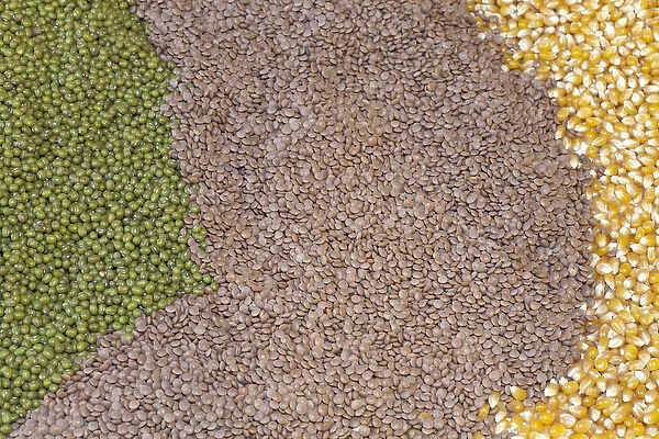 South America, Mexico, Tecate. Display of grains at Rancho La Puerta