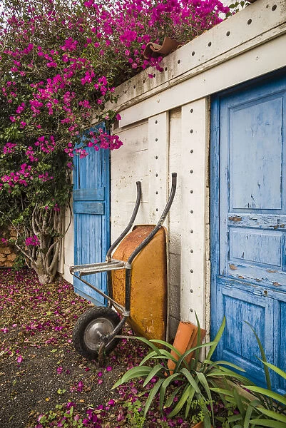 Spain, Canary Islands, Fuerteventura Island, La Oliva, blue door of garden shed