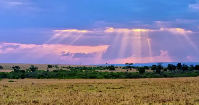Framed Print : Masai Mara Sunset Print Framed Print : Masai Mara Sunset Print