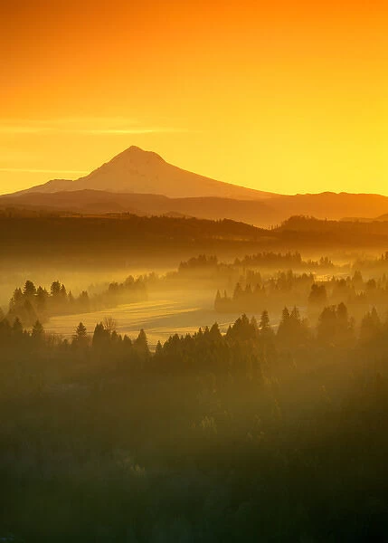 Sunrise orange colors the fog in the valley in front of Mt Hood, Oregon, seen