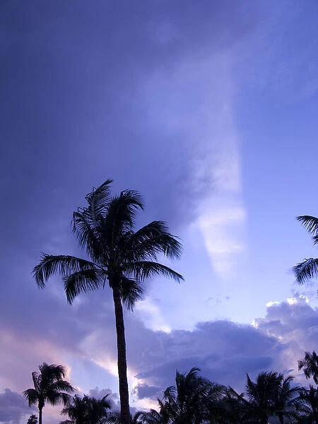 Sunset Captiva Island Florida