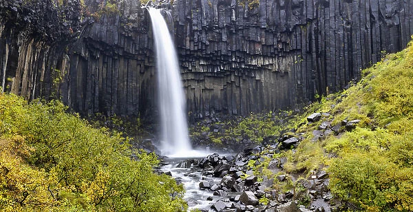Svartifoss (Black Fall), a 20m waterfall surrounded by hanging hexagonal basalt columns