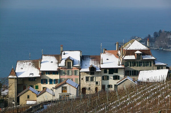 SWITZERLAND-(Vaud)-Swiss Riviera-EPESSES: Town View  /  Winter Corniche de Lavaux