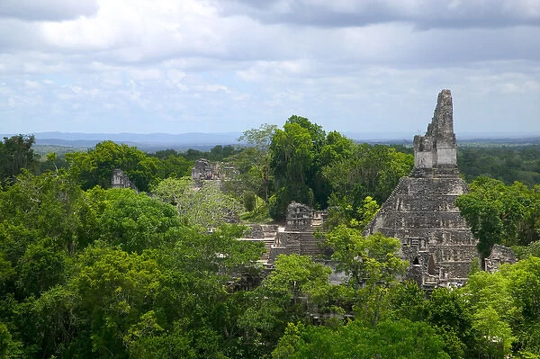 Temple I and North Acropolis in the tropical jungle, Tikal, Guatemala