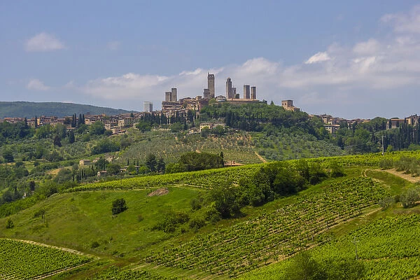 Typical Rolling Hills Landscape. San Gimignano SKyline. Tuscany. Italy