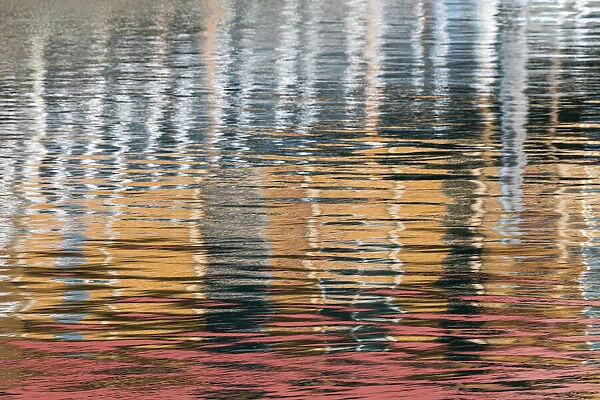 USA, Alaska, Elfin Cove. Reflections in the harbor water