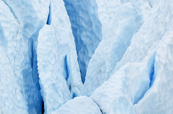 USA, Alaska. Matanuska Glacier close-up. Credit as: Marie Bush  /  Jaynes Gallery  /  DanitaDelimont
