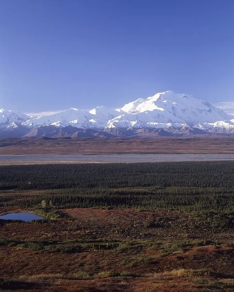 USA, Alaska, Mount McKinley, Fall, Denali National Park