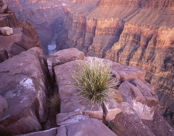 USA, Arizona, Colorado River from Tuweep Overlook, Grand Canyon National Park