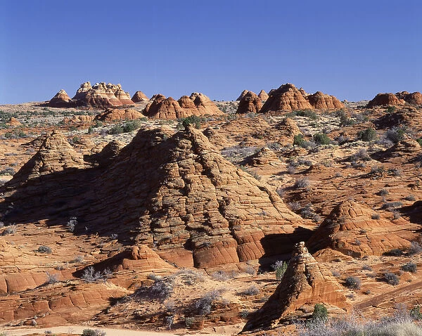 USA, Arizona, Sandstone formations at Paria Canyon