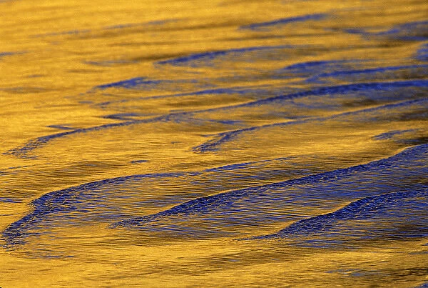 USA, California, La Jolla. Sunshine colors wave patterns off Torrey Pines Cliffs
