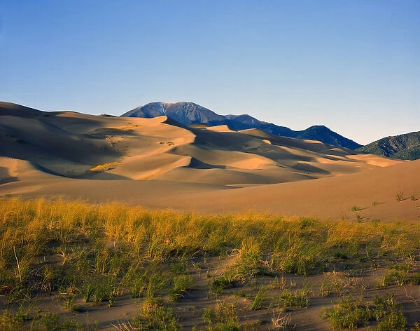USA, California and Nevada, Death Valley National Park, Sand Dunes in Mesquite Flat