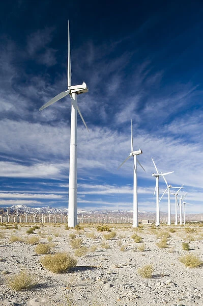 USA, California, Palm Springs. Windmill Farm along North Indian Canyon Drive