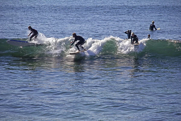 USA, California, San Diego. Surfers at Windansea, La Jolla