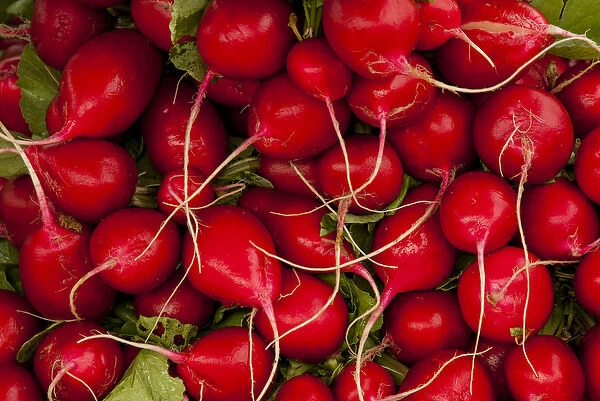 USA: California, Santa Barbara, Lower State Street, Farmers Market, red radishes