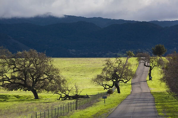 USA, California, Southern California, Santa Ynez, Santa Barbara Wine Country, landscape with trees