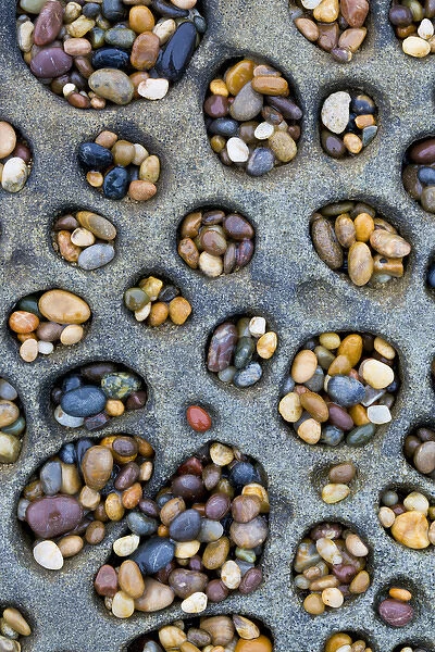 USA, California. Tafoni formation holes filled with pebbles