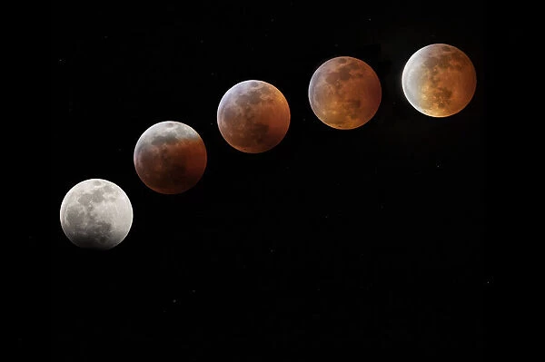USA, Colorado. Full moon phases in total lunar eclipse. Credit as