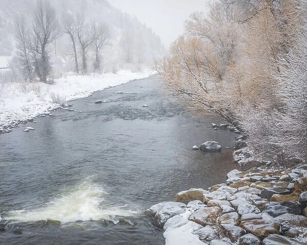 USA, Colorado, Steamboat Springs. Yampa River landscape in winter