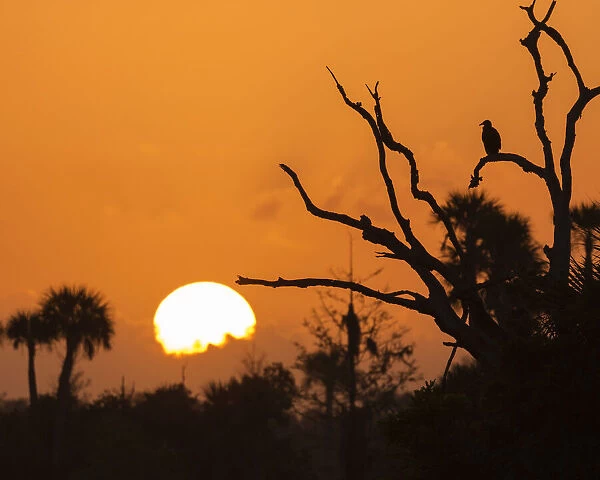 USA, Florida. Sun rising over the Orlando Wetlands Park