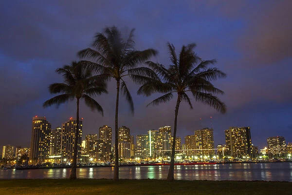 USA; Hawaii; Honolulu; Palm Trees with the night lights of Honolulu