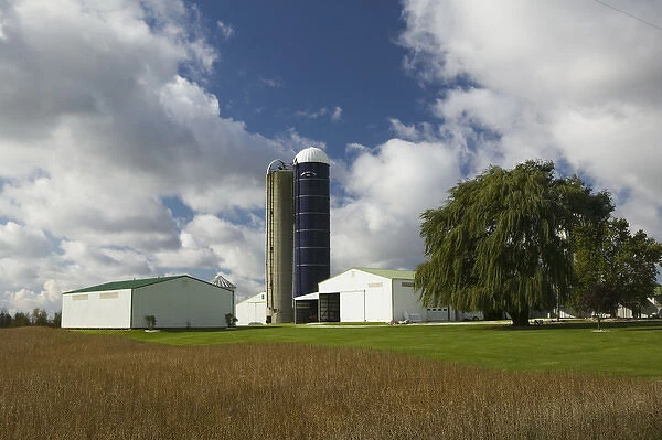 USA-Indiana-Sedan: Indiana Farm on SR 6  /  Autumn