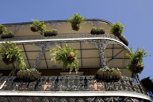 USA, Louisiana, New Orleans. Looking up at traditional wrought iron balconies
