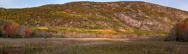 USA, Maine. Autumn foliage near The Beehive, Panoramic, Acadia National Park