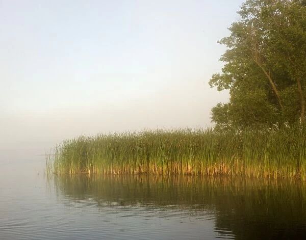 USA, Minnesota, Hoyt Lakes. Foggy morning lake