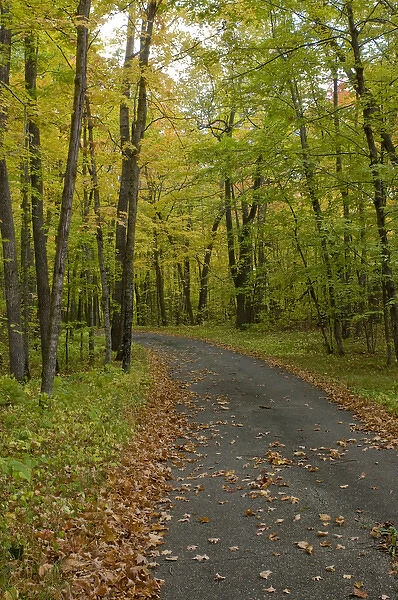 USA, Minnesota, Itasca State Park. Fall leaves on a bike path