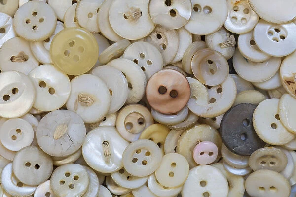 USA, Montana, Missoula. Mother-of-pearl buttons