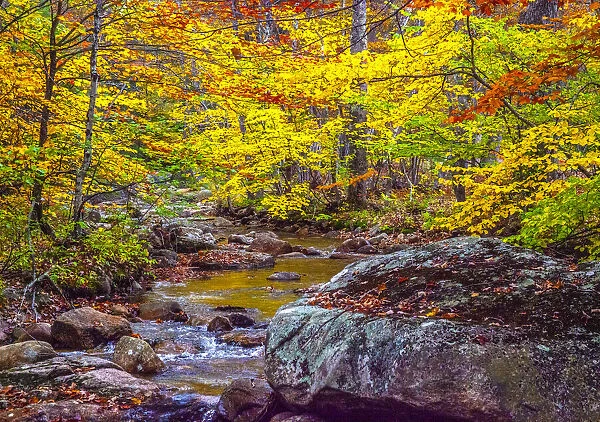 USA, New Hampshire, New England, Jackson small stream surrounded in Fall color