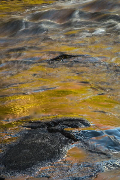 USA, New York, Adirondack State Park. Autumn reflections on stream