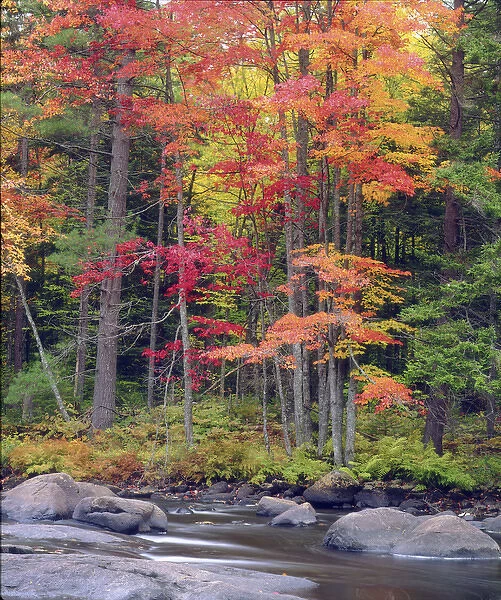 USA, New York, Autumn in the Adirondack Mountains Credit as: Christopher Talbot