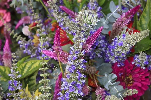 USA; North America; Georgia; Savannah; Bouquet of colorful flowers at a Farmers Market